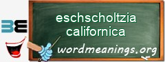 WordMeaning blackboard for eschscholtzia californica